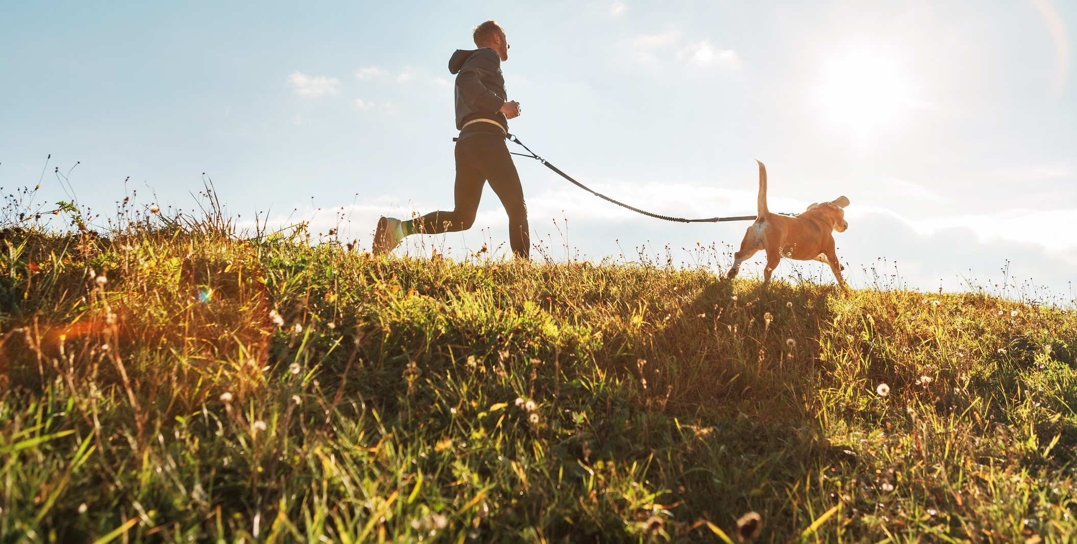Man Running with Dog high quality
