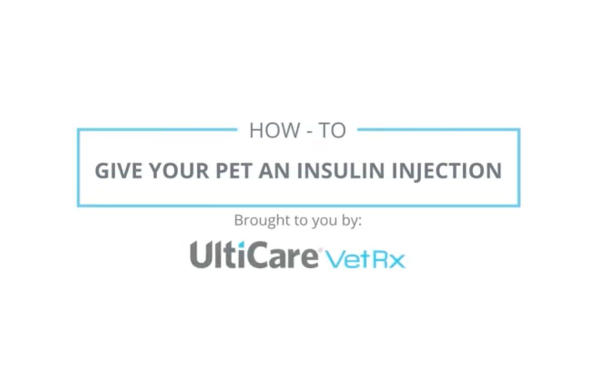How to Give Your Pet an Insulin Injection