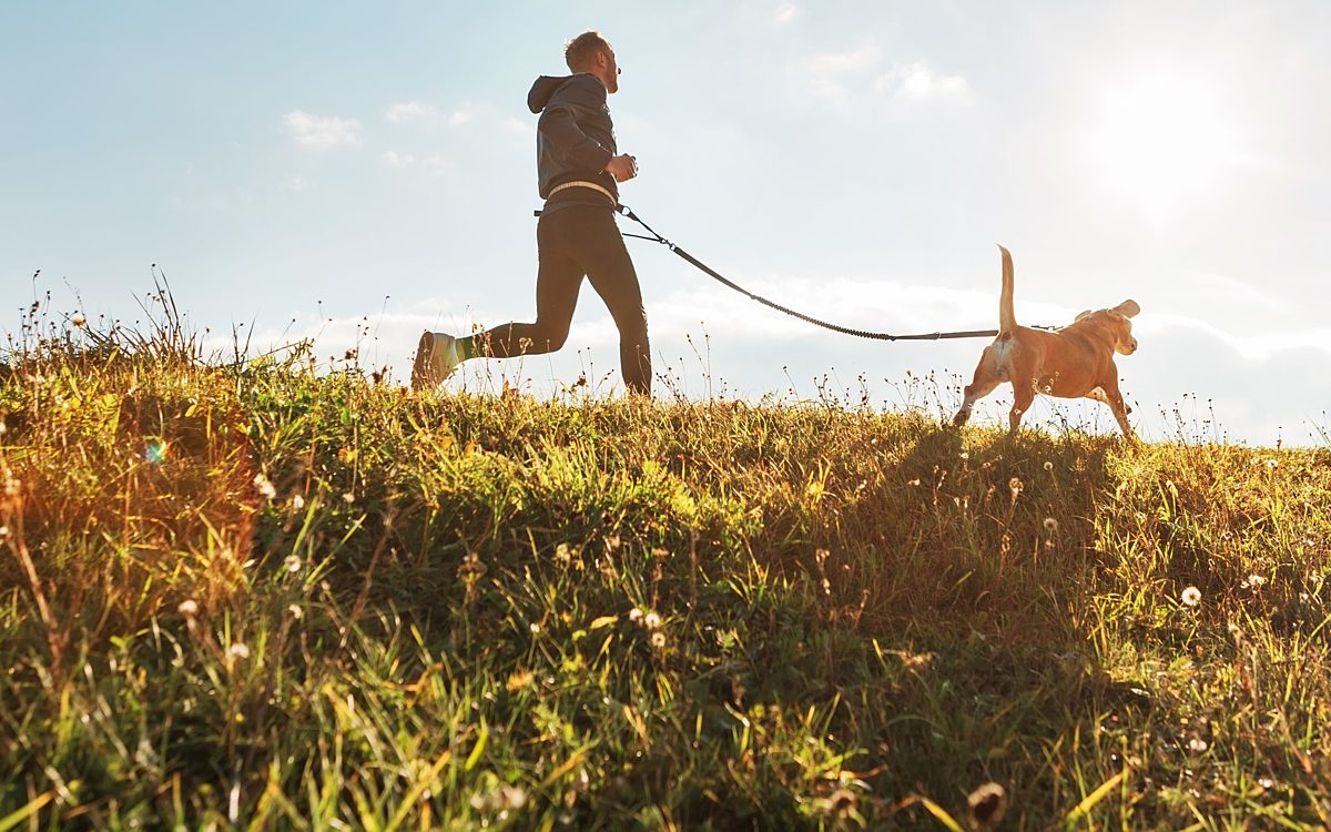 Man Running with Dog high quality