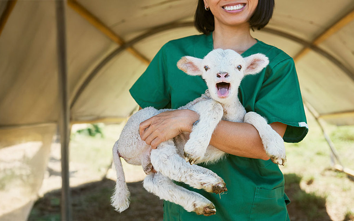 Woman with sheep