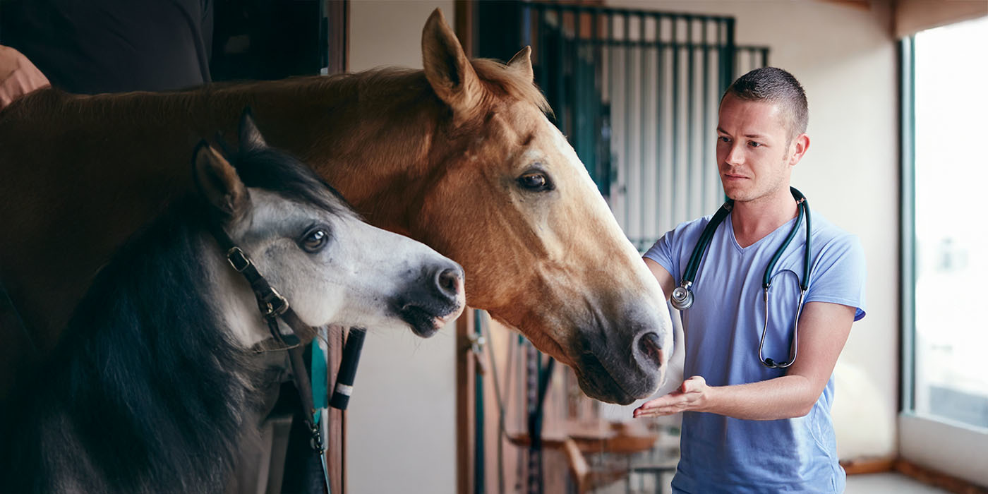 Man with horse v3