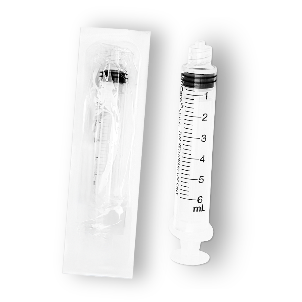 6m L LL Syringe