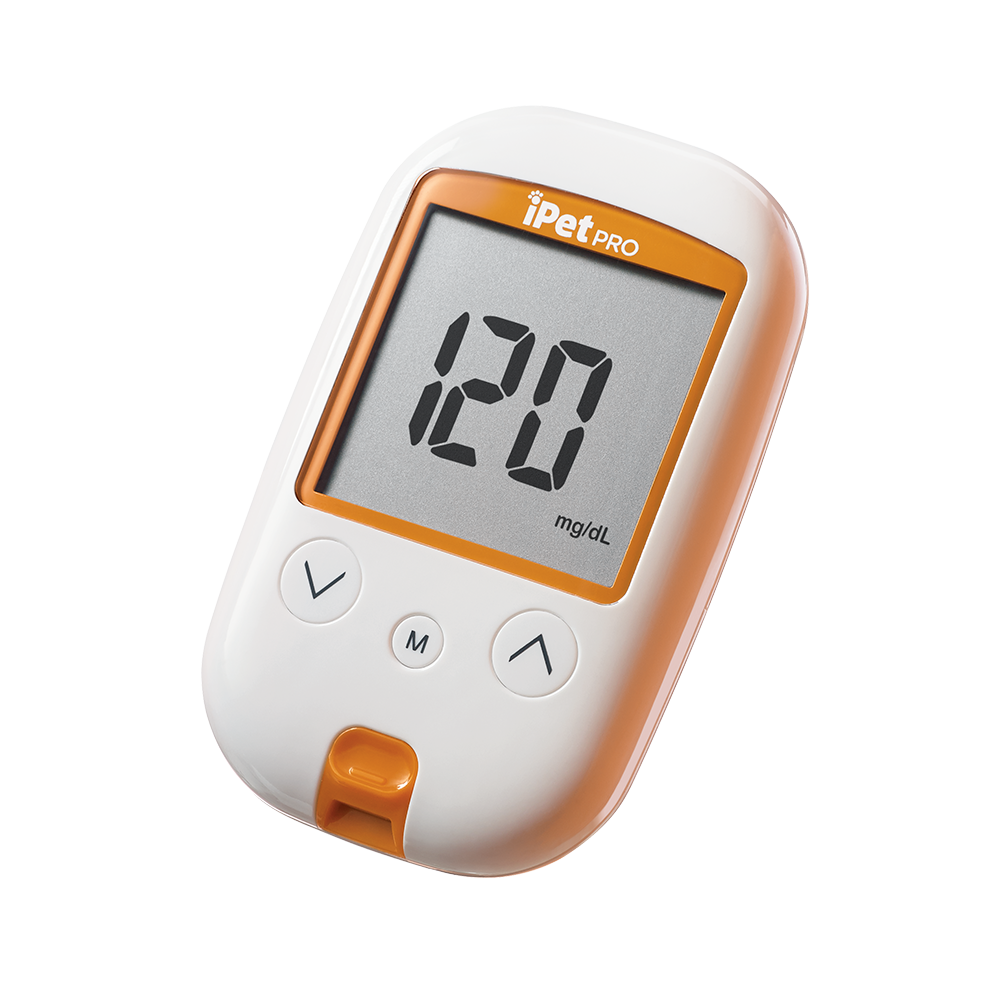 Blood Glucose Monitoring